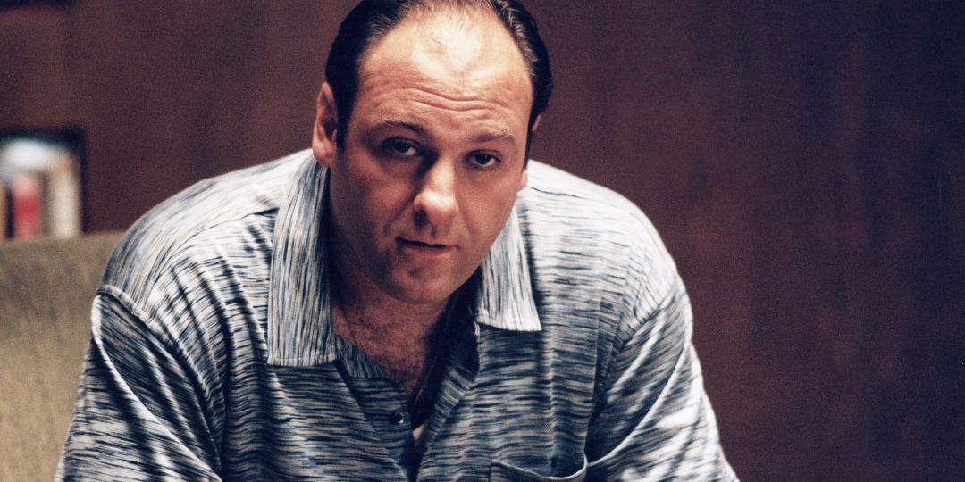 پرتره تونی سوپرانو در سریال The Sopranos