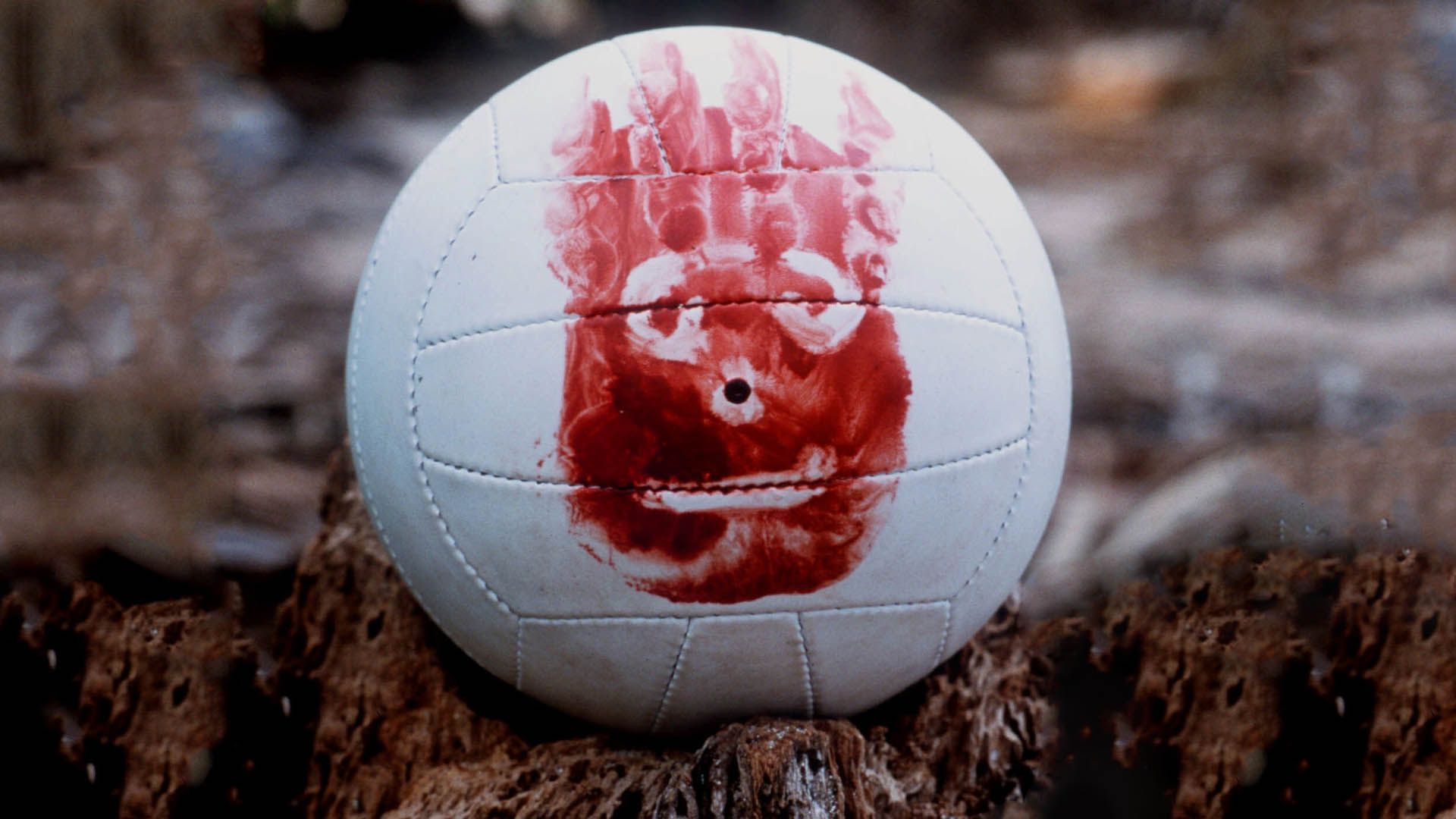 شخصیت ویلسون توپ والیبال در فیلم Cast Away