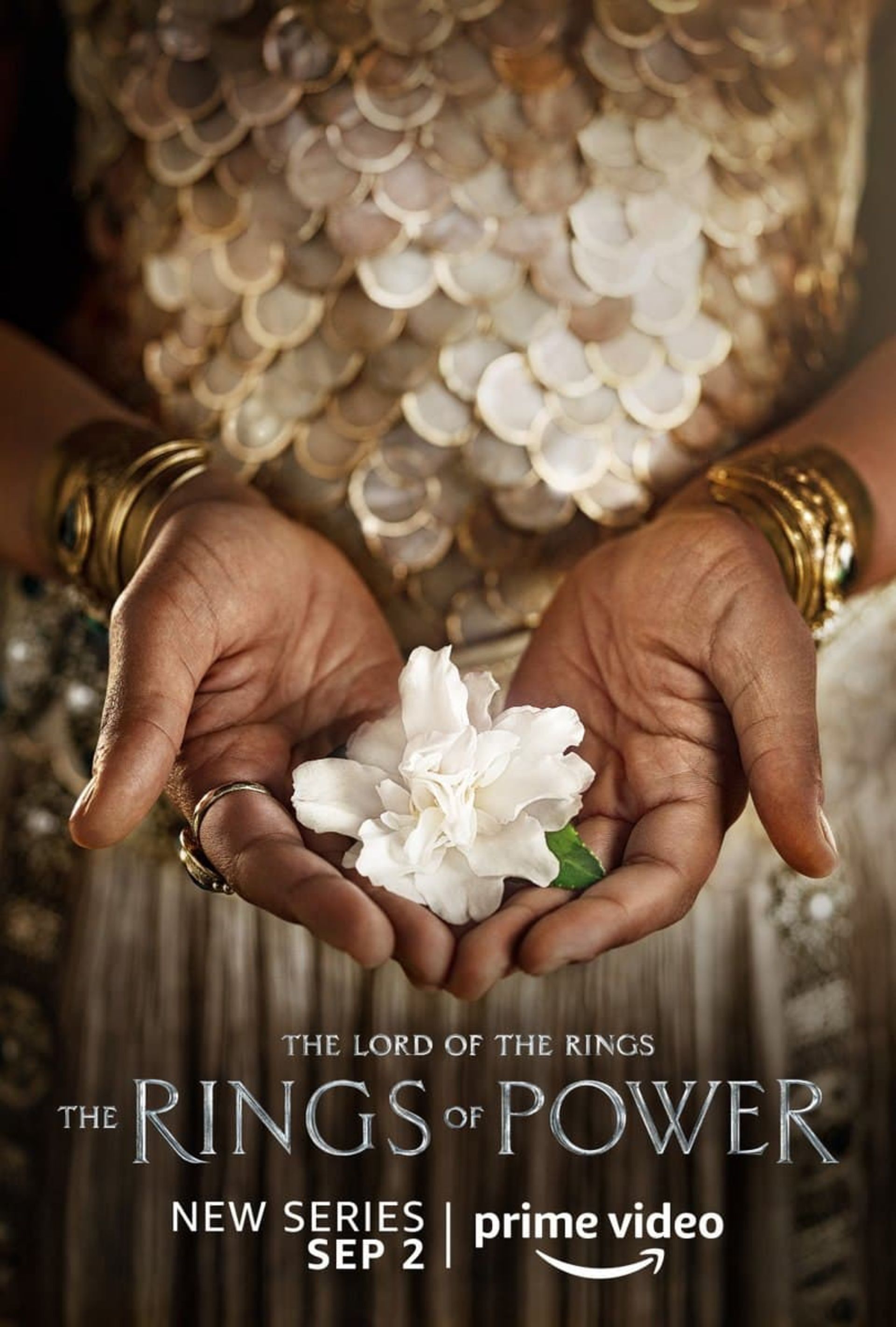 2022-2-lord-of-the-rings-of-power-characters-posters-21