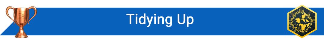 تروفی Tidying Up