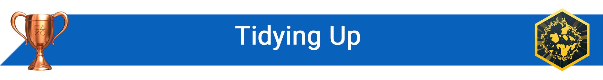 تروفی Tidying Up
