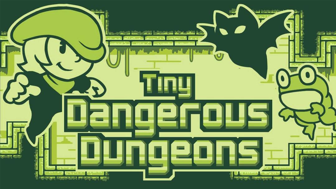 بازی اندروید  Tiny Dangerous Dungeons