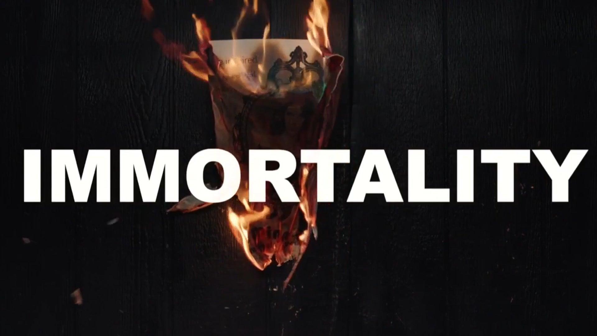 پوستر بازی Immortality
