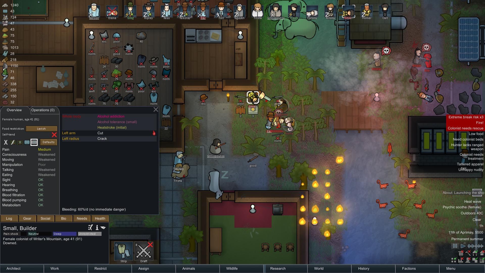 محیط بازی RimWorld