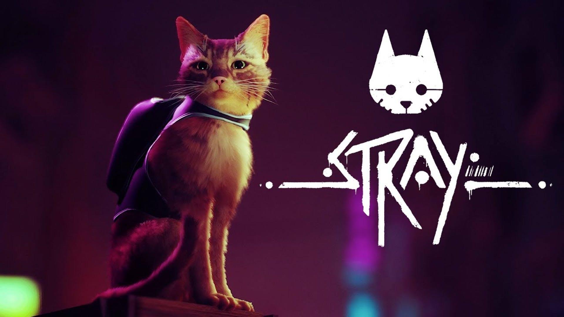 گربه بازی Stray
