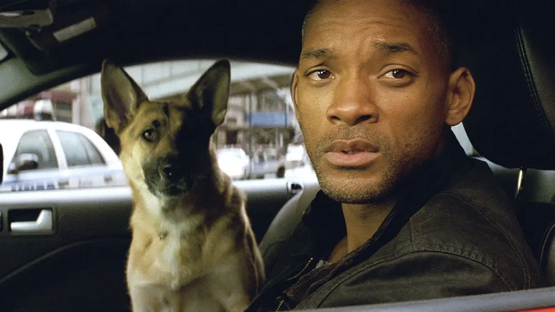 ویل اسمیت در کنار سگش در ماشین در فیلم I Am Legend