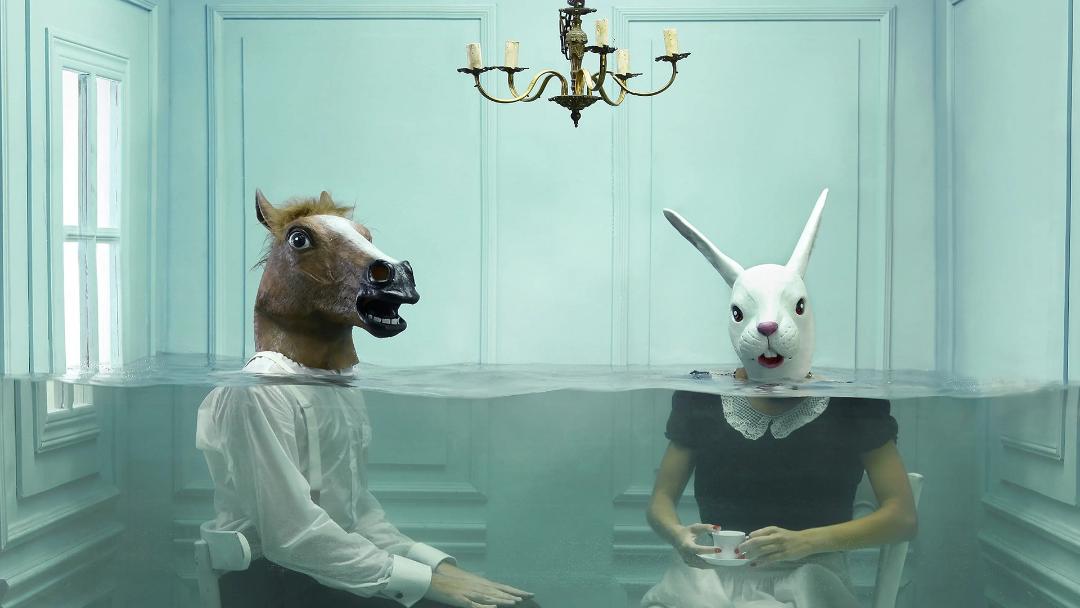 Anthropomorphism_zoo
