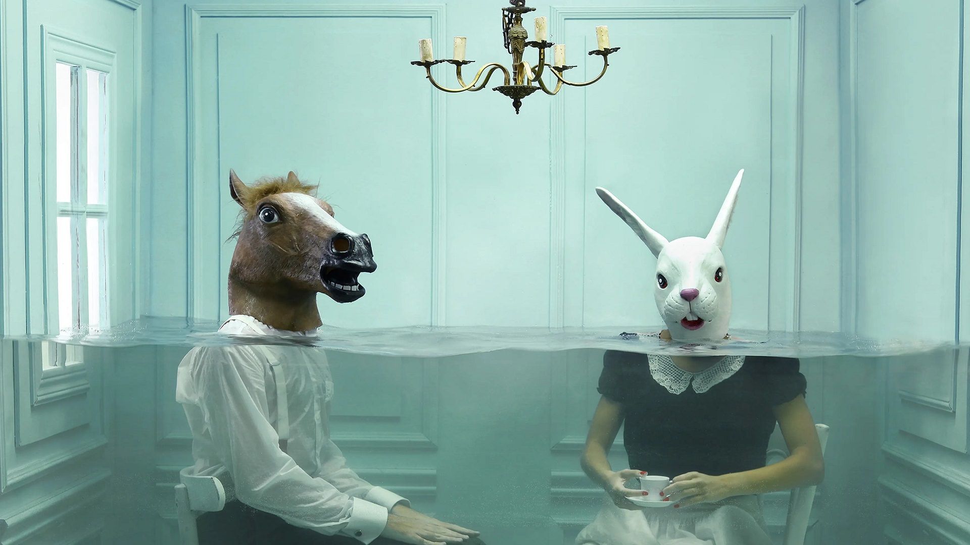 Anthropomorphism_zoo