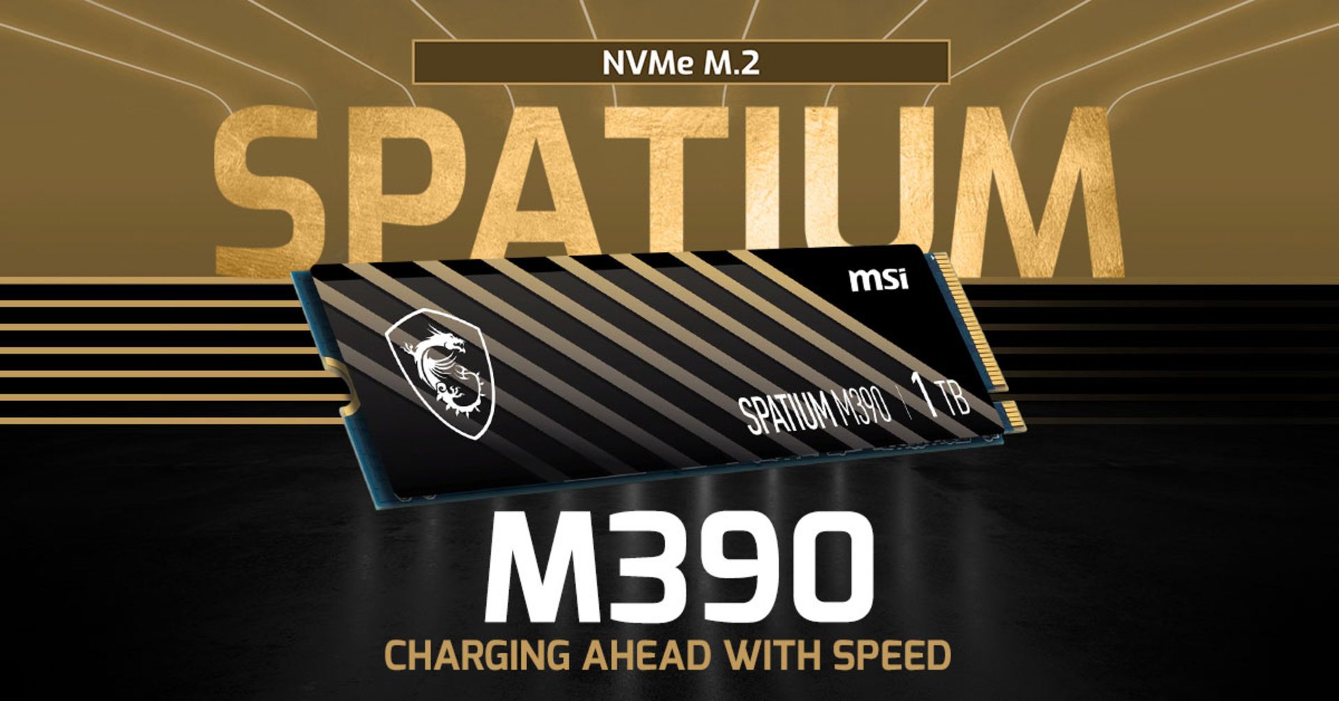 NVMe M.2 Spatium M390