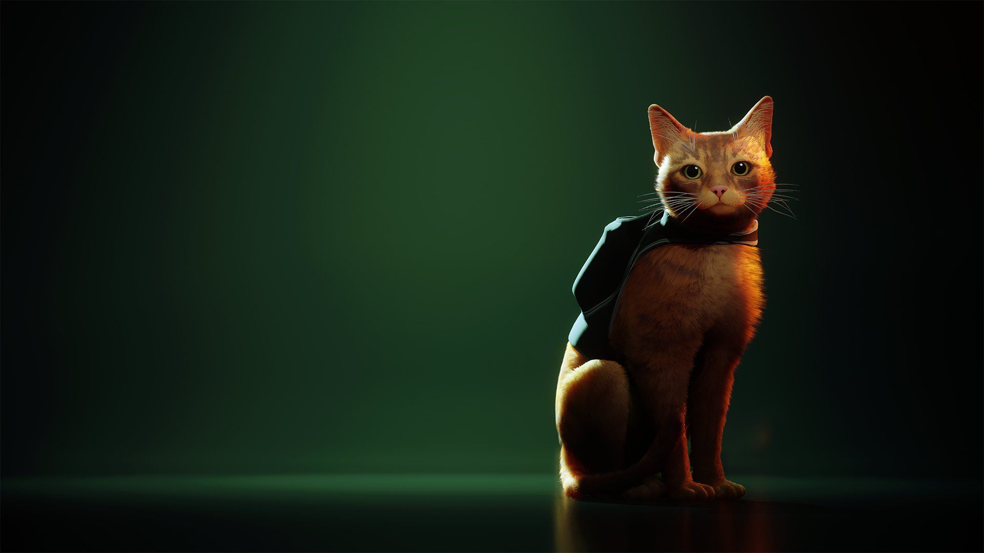 عکس بازی Stray