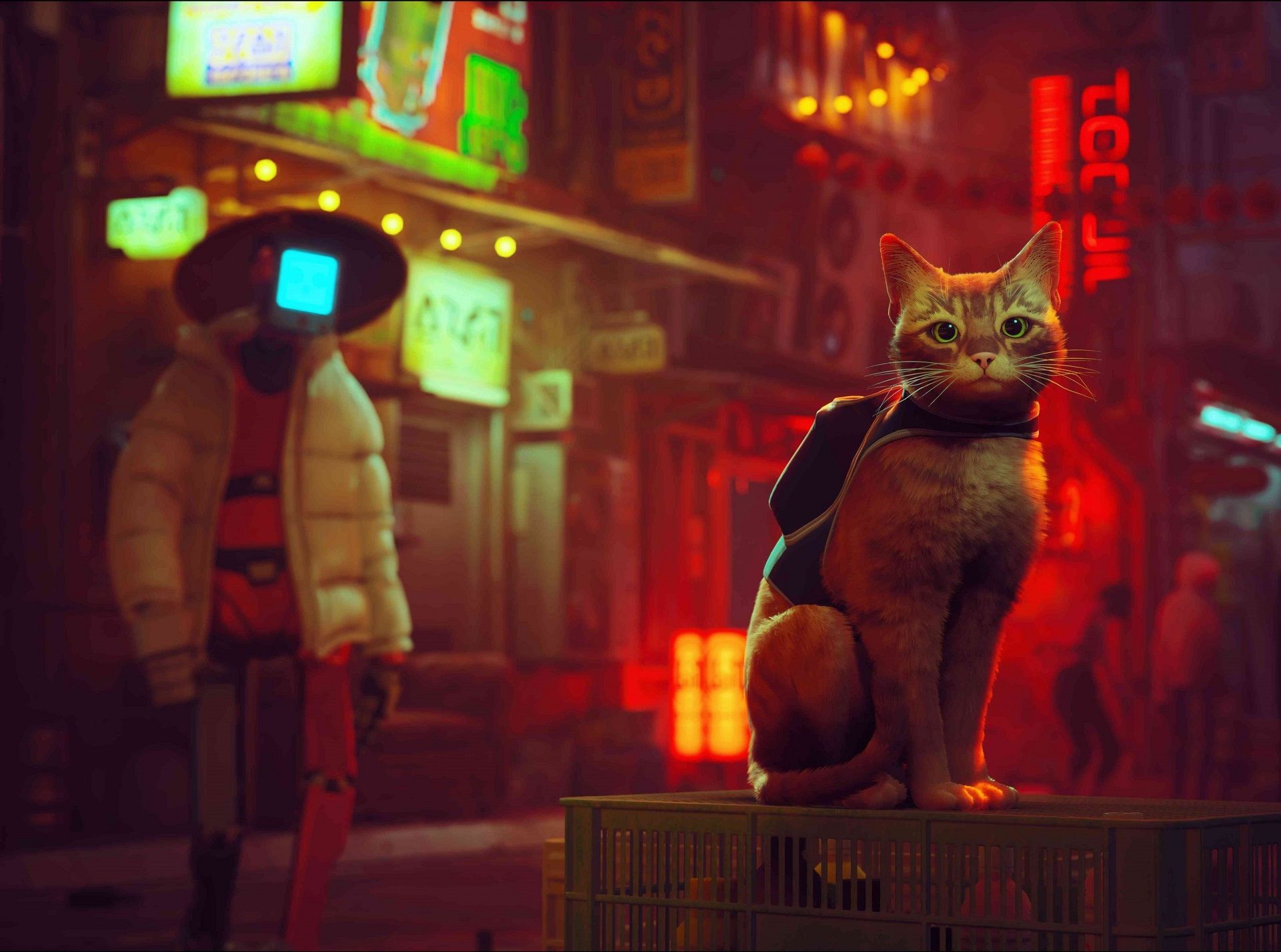 پوستر بازی Stray