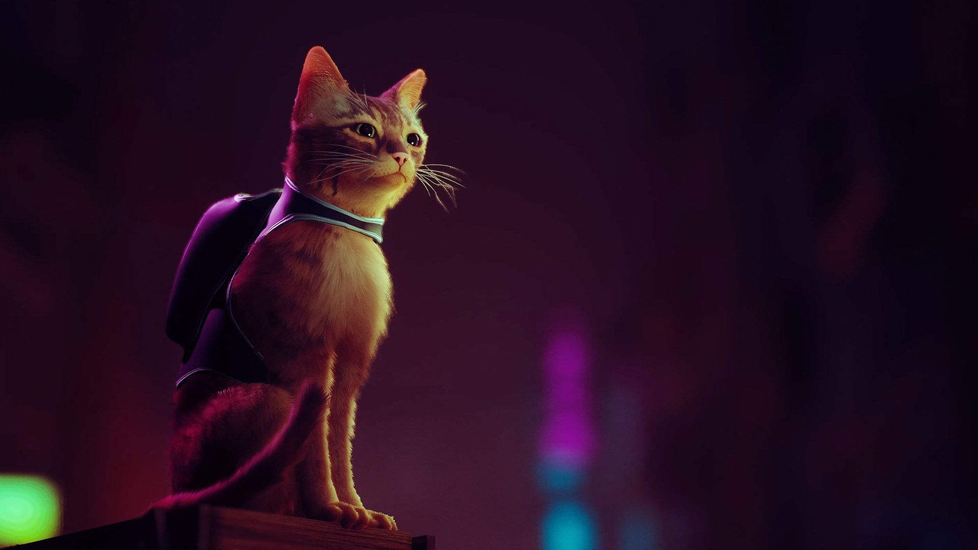 عکس بازی Stray