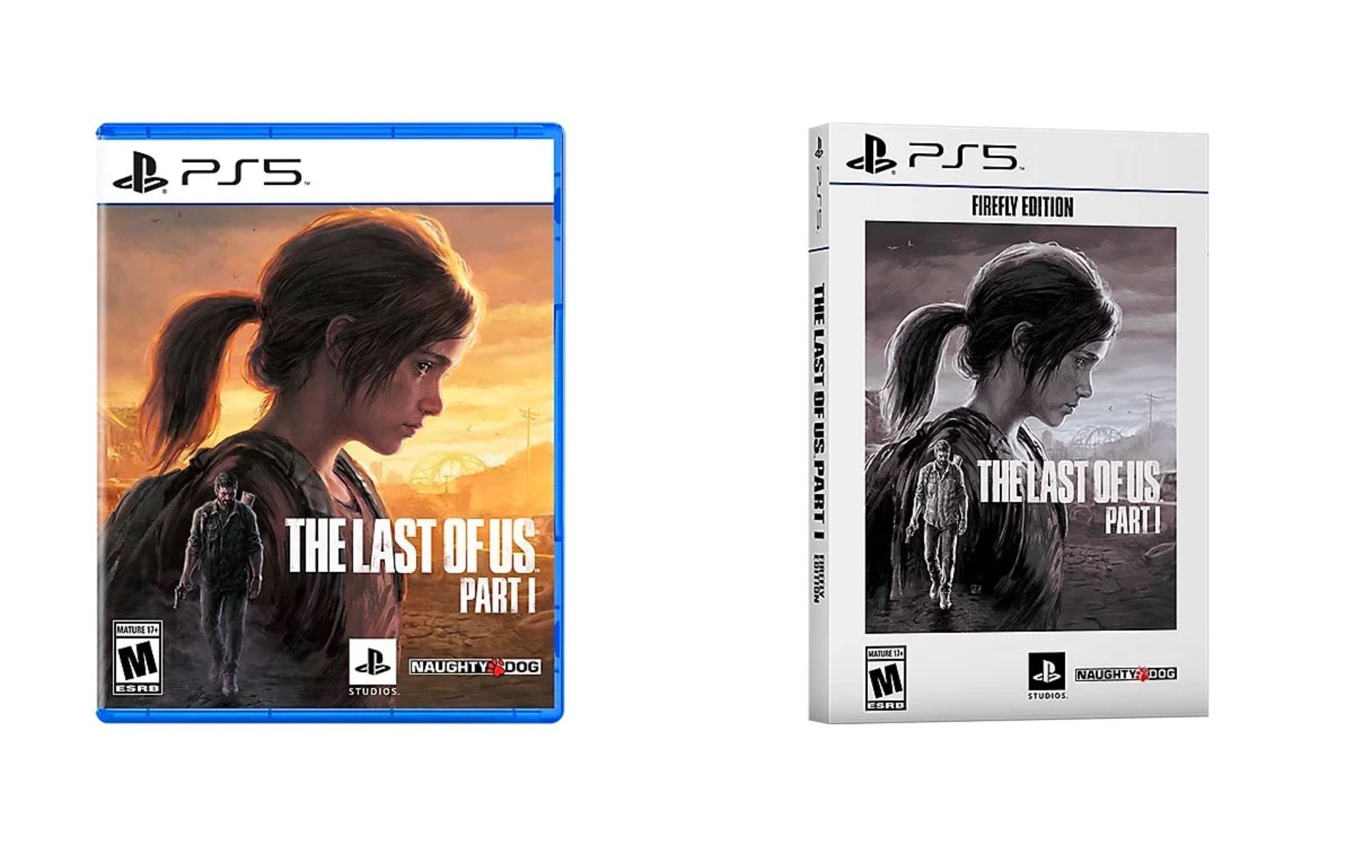 کیس نسخه بازی  The Last of Us: Part I