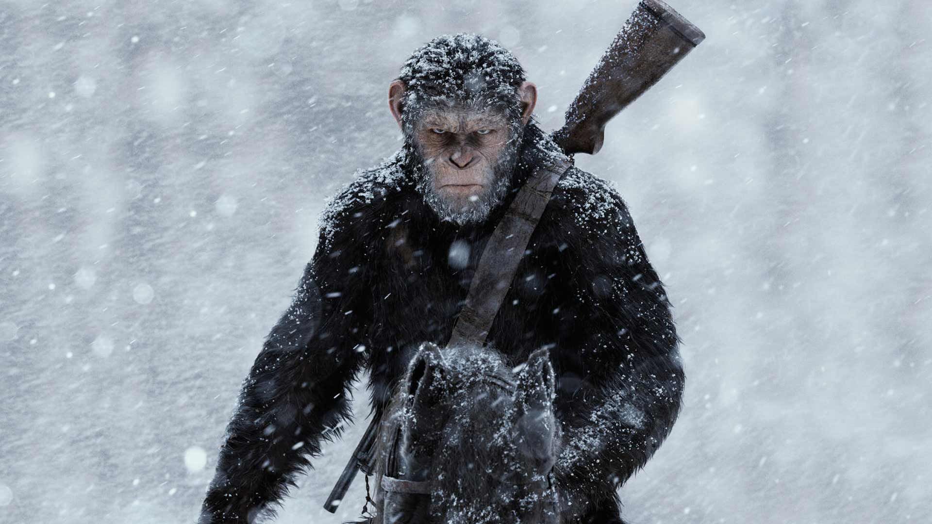 سزار در پوستر فیلم War for the Planet of the Apes