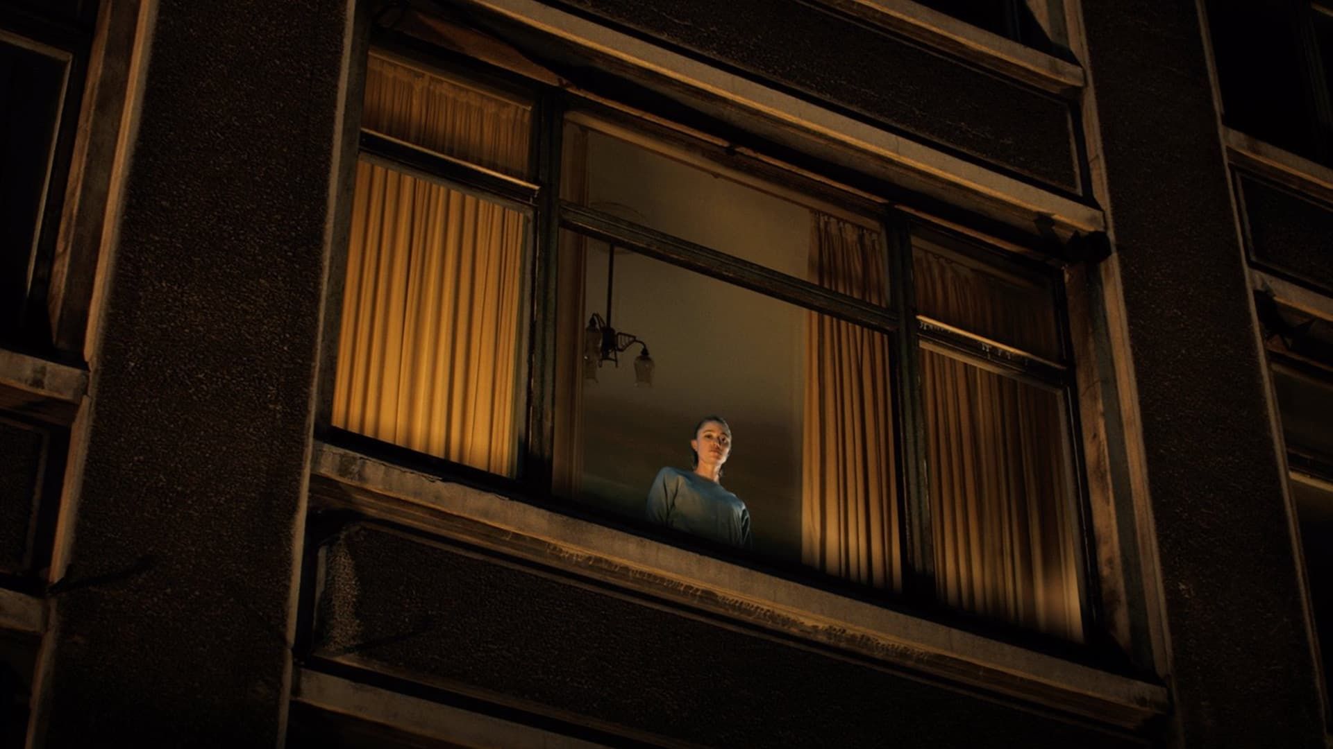 پوستر فیلم Watcher