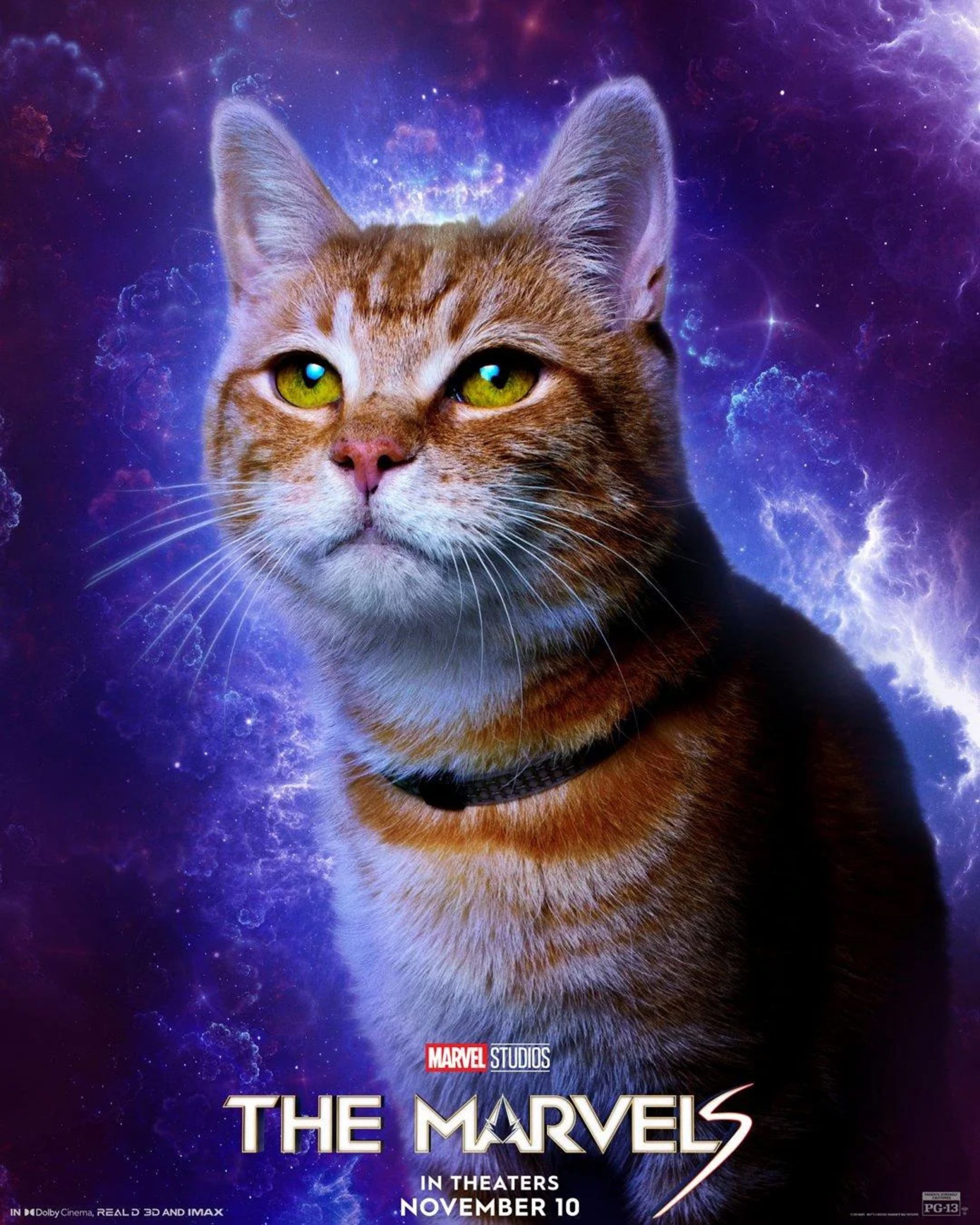 پوستر گوس در فیلم The Marvels 