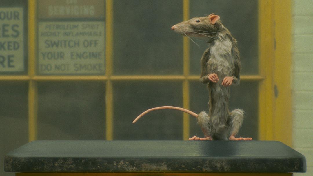2023-10-the-ratcatcher-rat