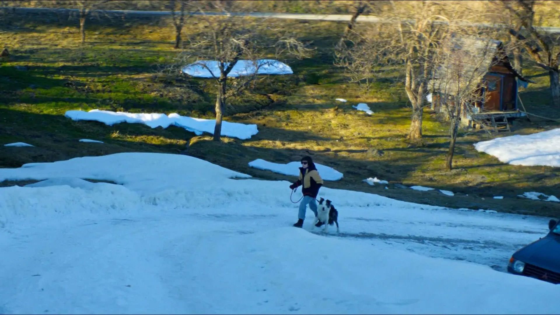 2023-11-anatomy-of-a-fall-walking-the-dog-snow