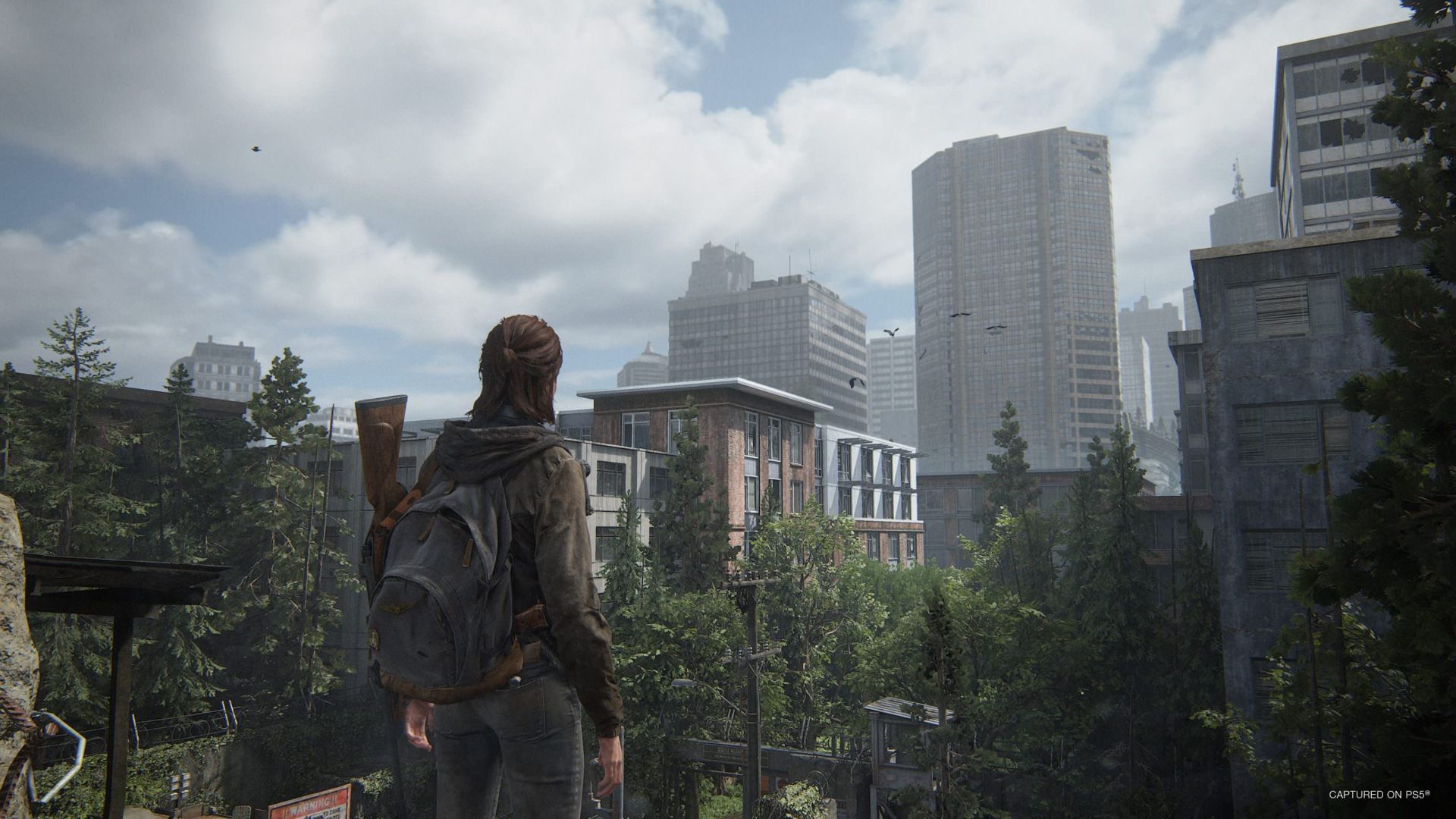 نمایش بهبودهای نسخه پلی استیشن 5 در تصاویر بازی The Last of Us Part 2 Remastered 