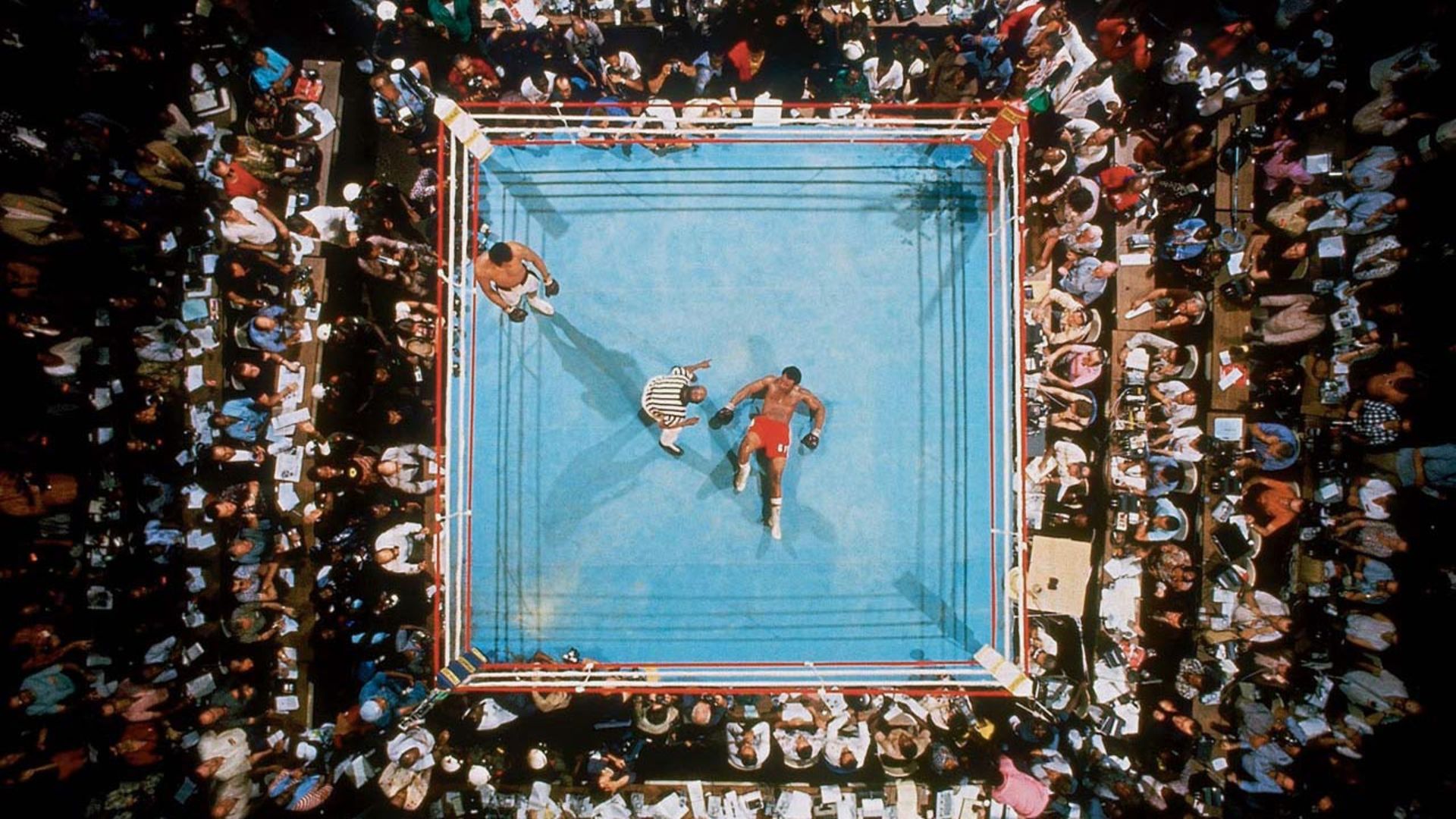 نما ا زبالای رینگ مبارزه محمد علی در فیلم وقتی ما پادشاه بودیم