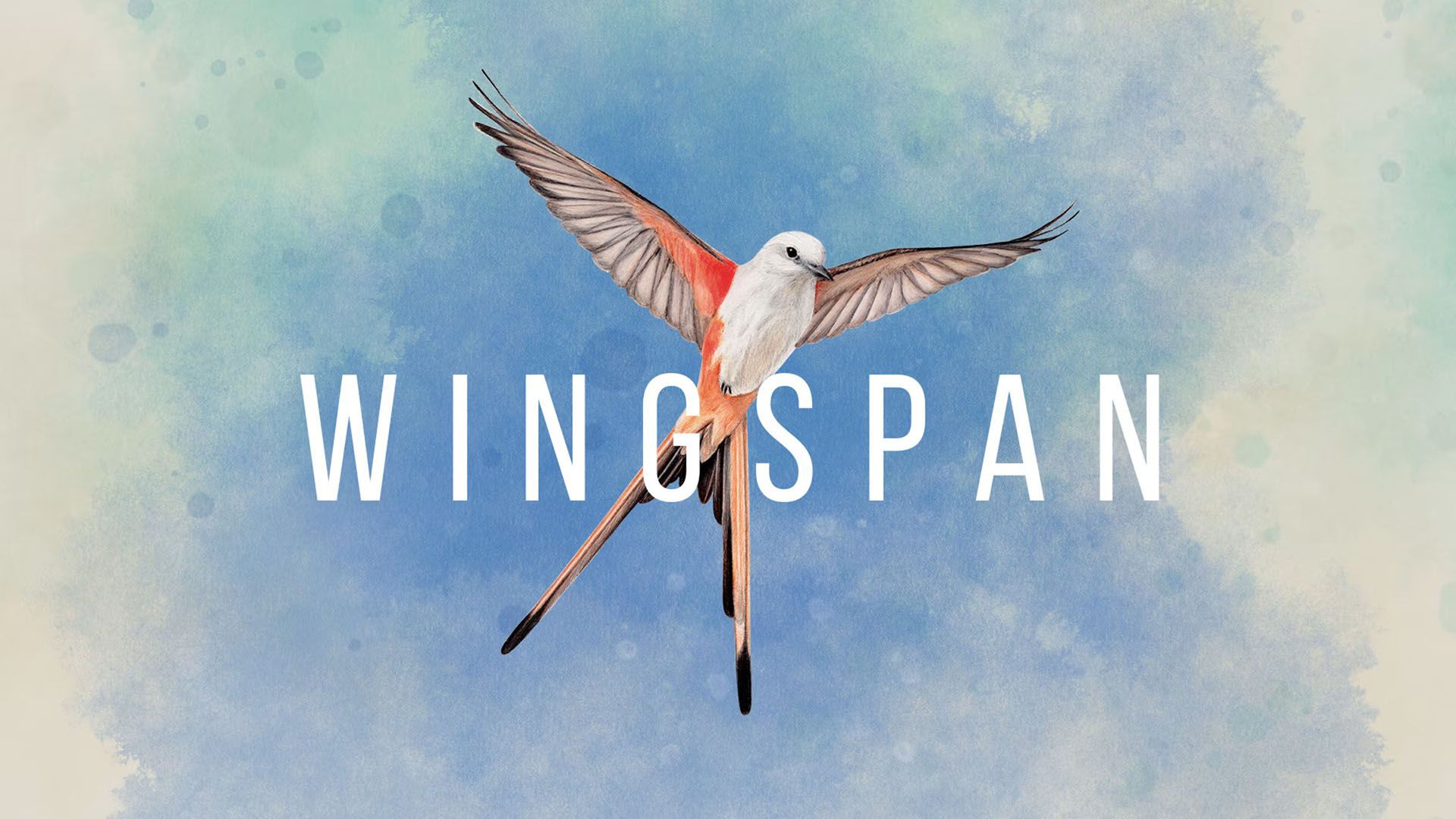 بازی رومیزی Wingspan - وینگسپن