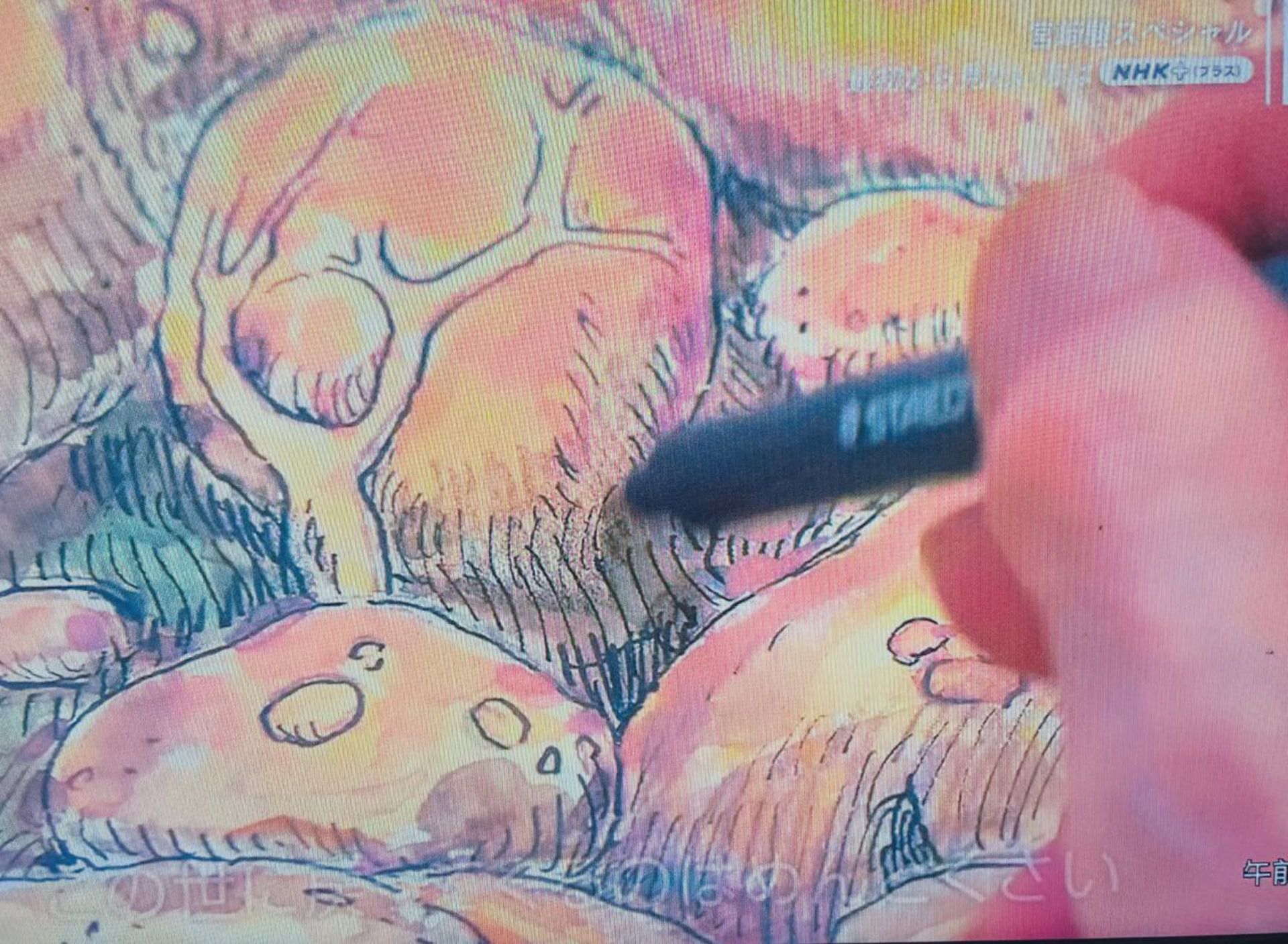 2023-12-hayao-miyazakis-next-film-might-be-a-sequel-to-1984s-nausicaa-03