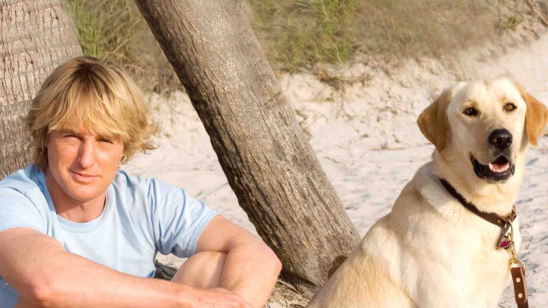 اوون ویلسون به همراه یک سگ در ساحل در فیلم Marley & Me