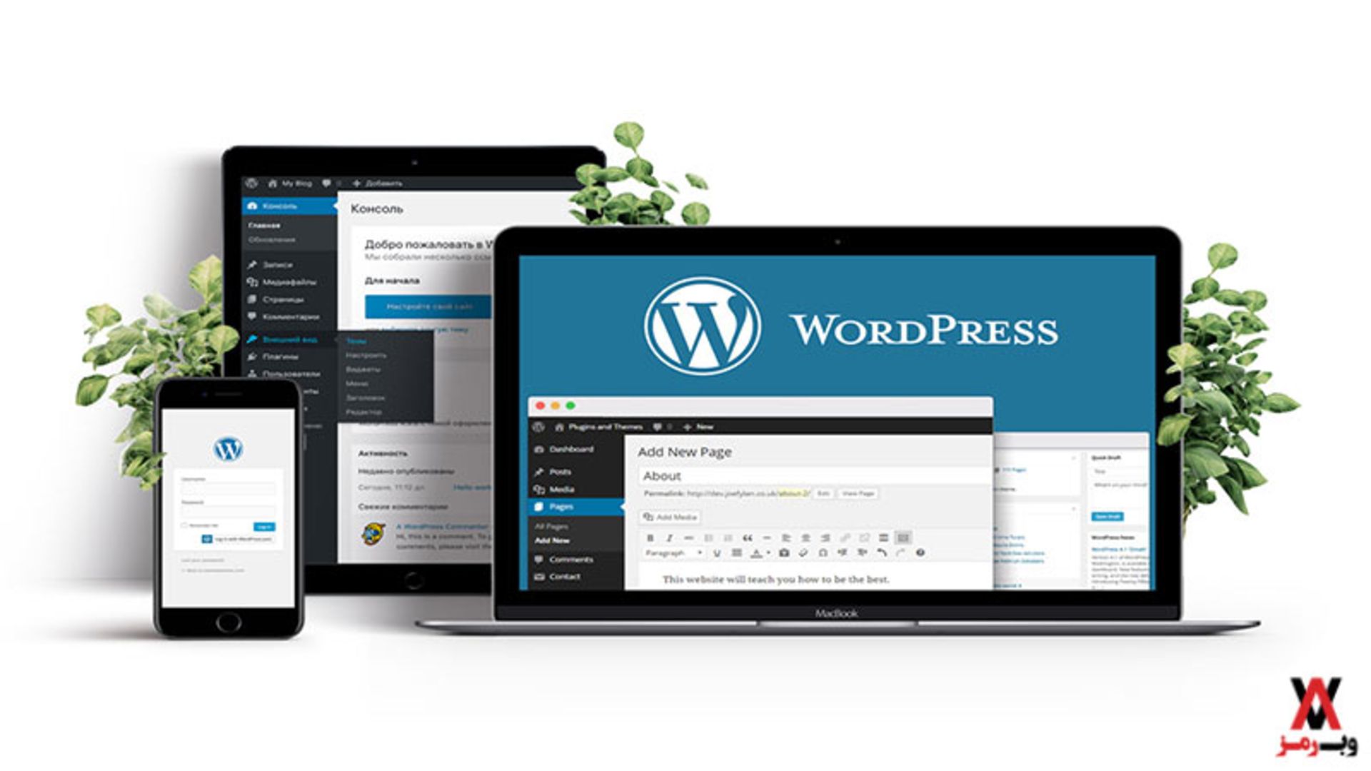 2023-12-wordpress