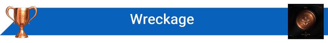 تروفی Wreckage