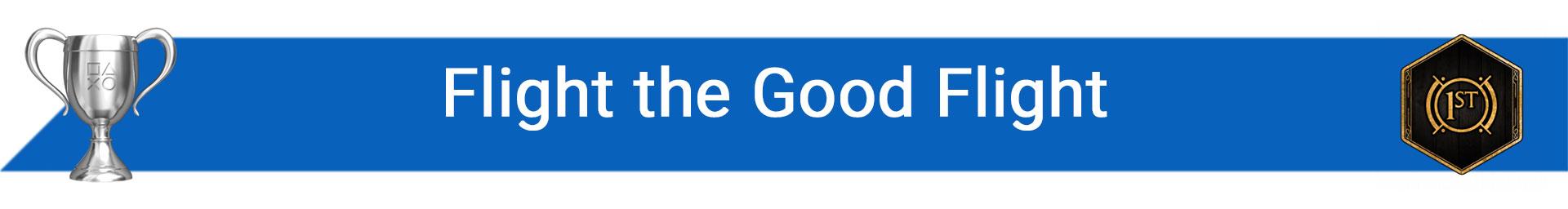 تروفی Flight the Good Flight