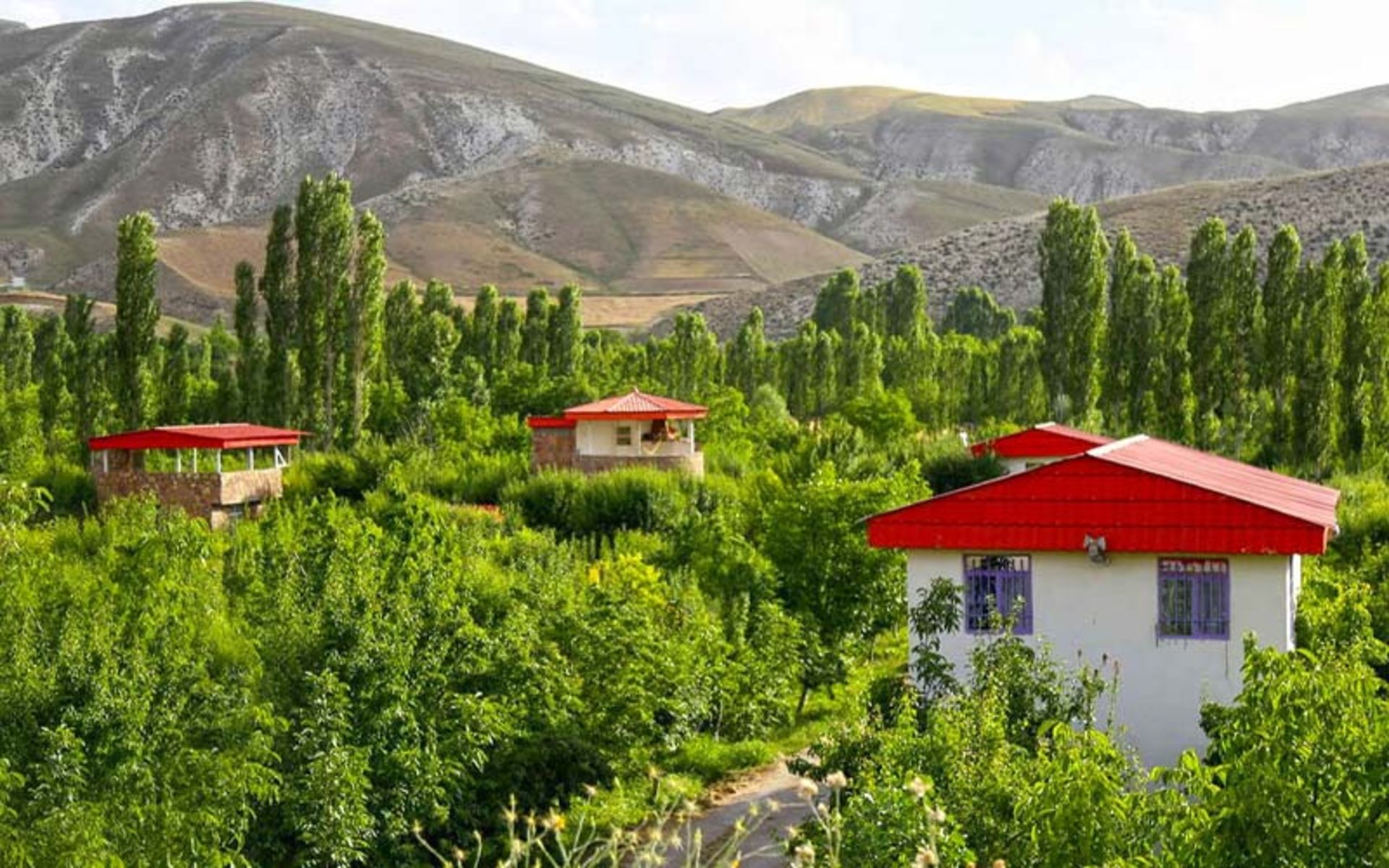 سه خانه اجاره ای در محیط سرسبز کردان