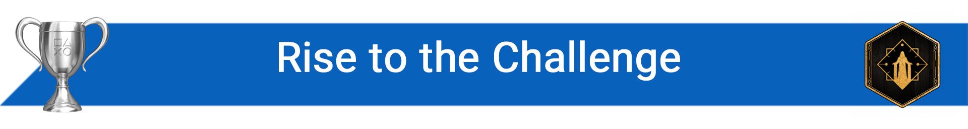 تروفی Rise to the Challenge
