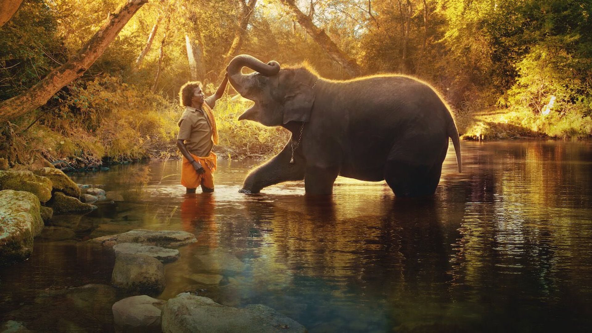 مستند کوتاه The Elephant Whisperers