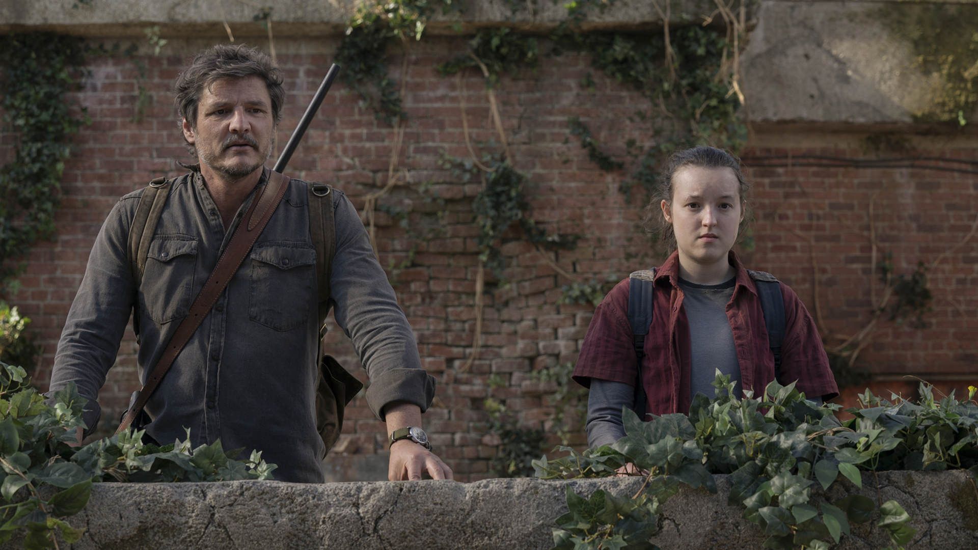 جول و الی زرافه‌ها را تماشا می‌کنند سریال the last of us