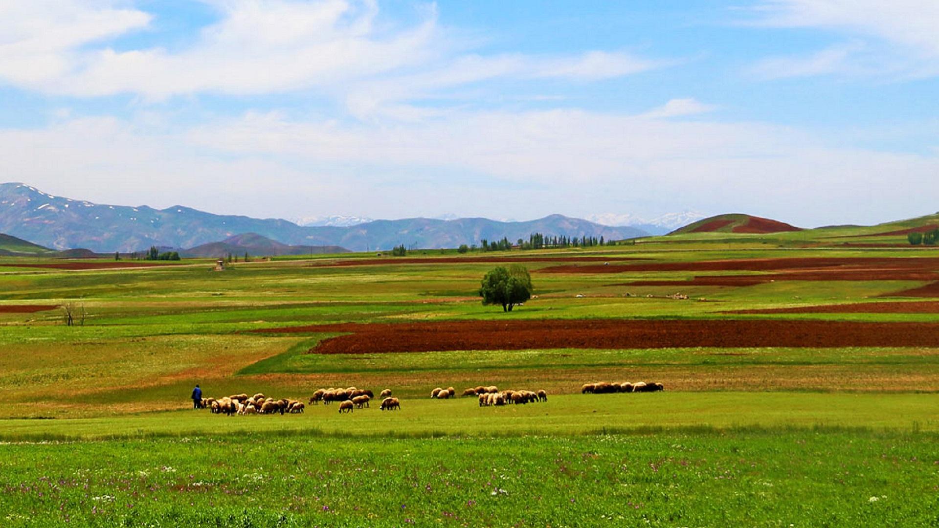 مزارع استان اردبیل