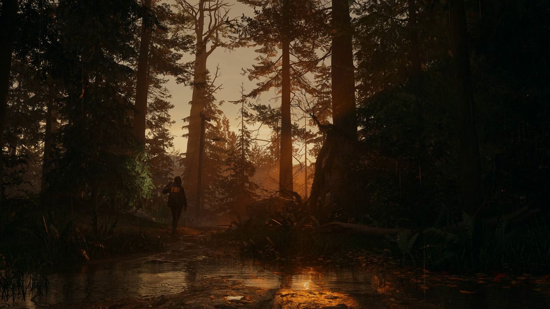 بازی Alan Wake 2 تنها به صورت دیجیتالی عرضه خواهد شد - زومجی