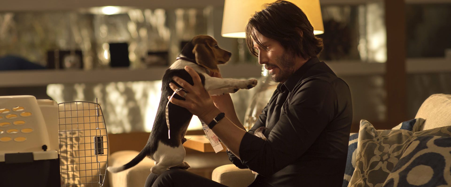 جان ویک سگش را بغل کرده است فیلم john wick