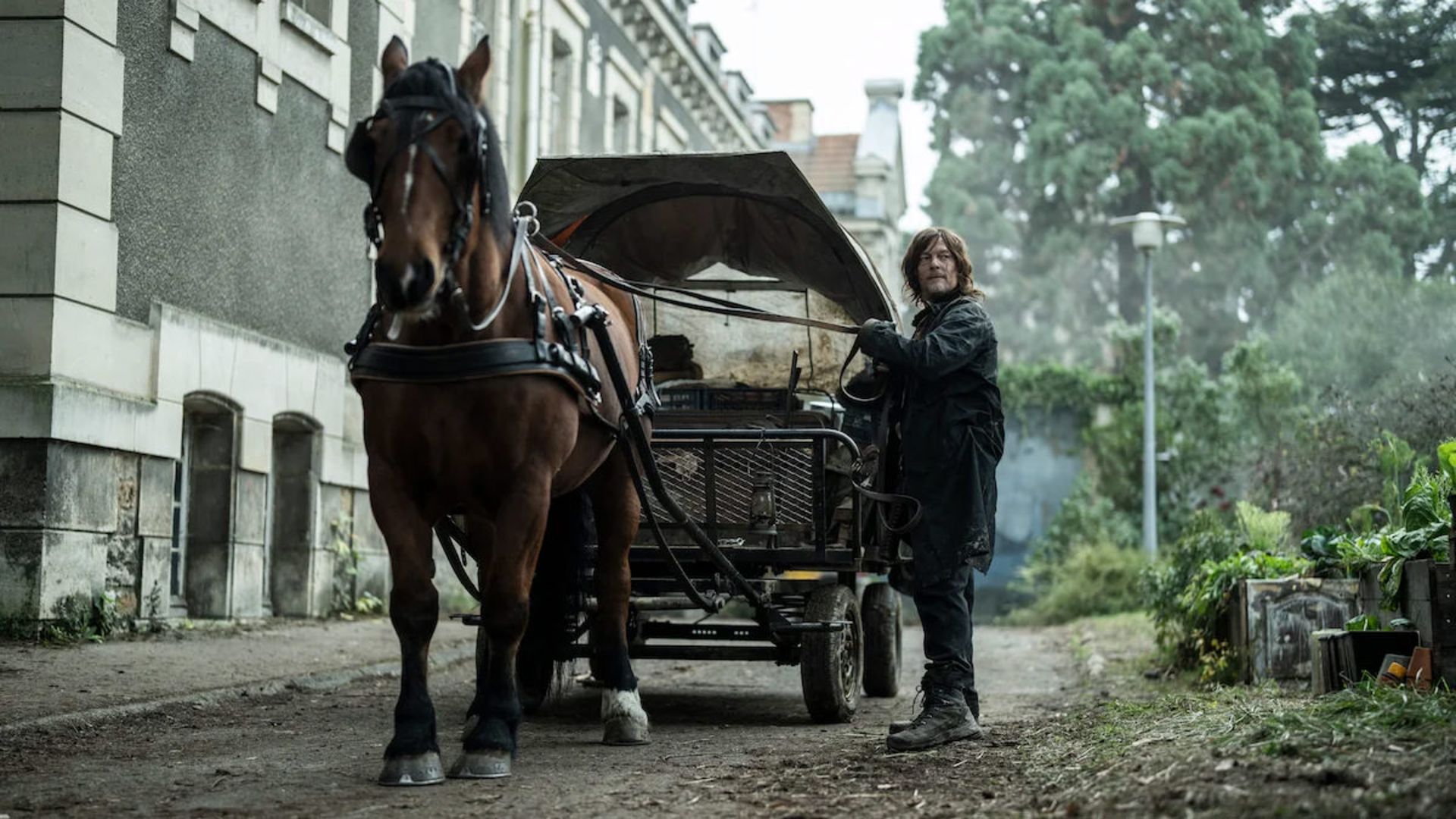 جابه‌جایی وسایل با ارابه توسط دریل دیکسون در سریال The Walking Dead: Daryl Dixon 