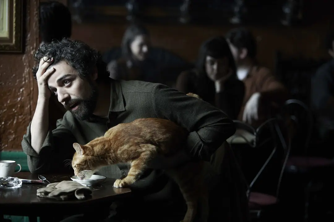 اسکار ایزاک به همراه گربه معروف فیلم Inside Llewyn Davis