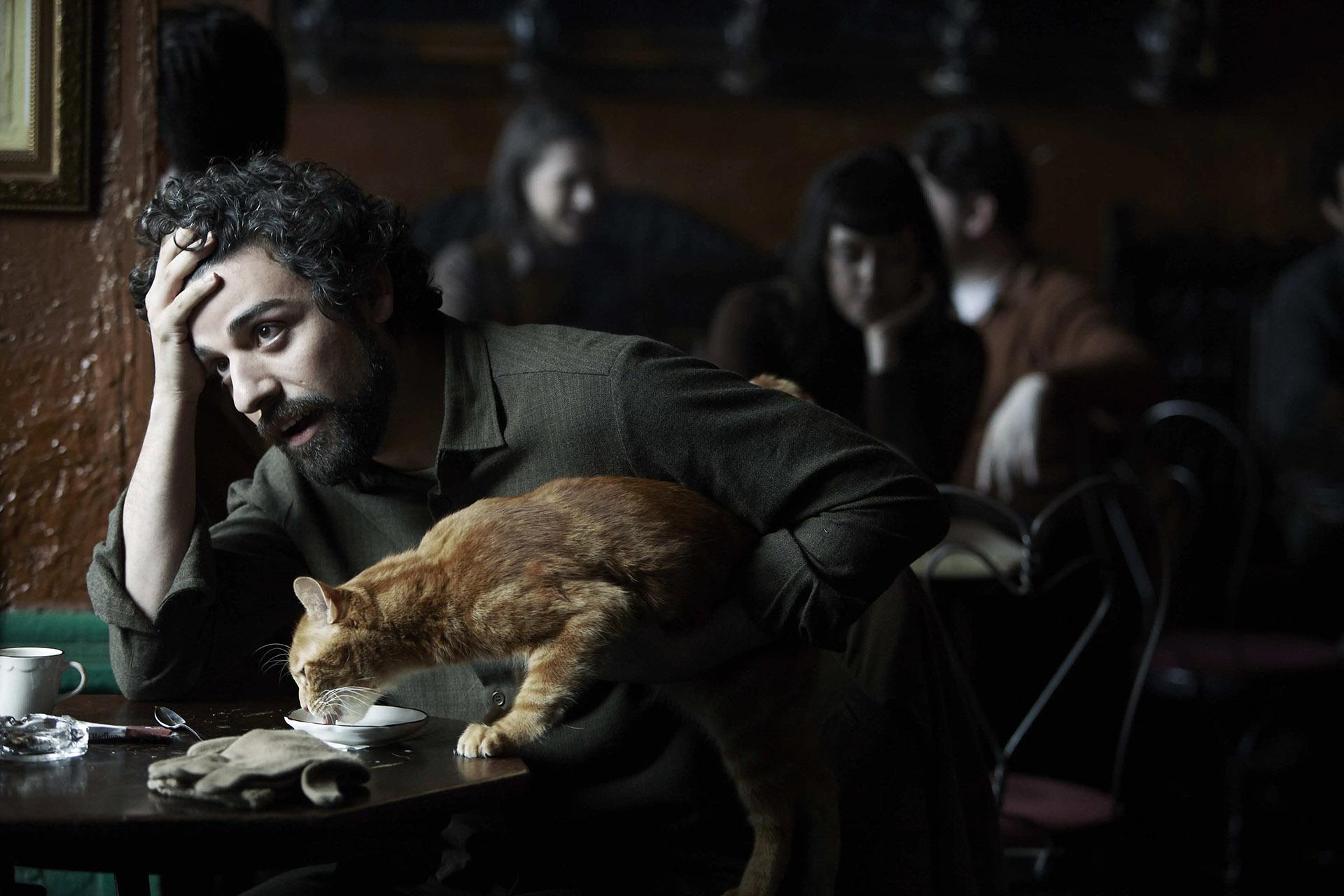 اسکار ایزاک به همراه گربه معروف فیلم Inside Llewyn Davis