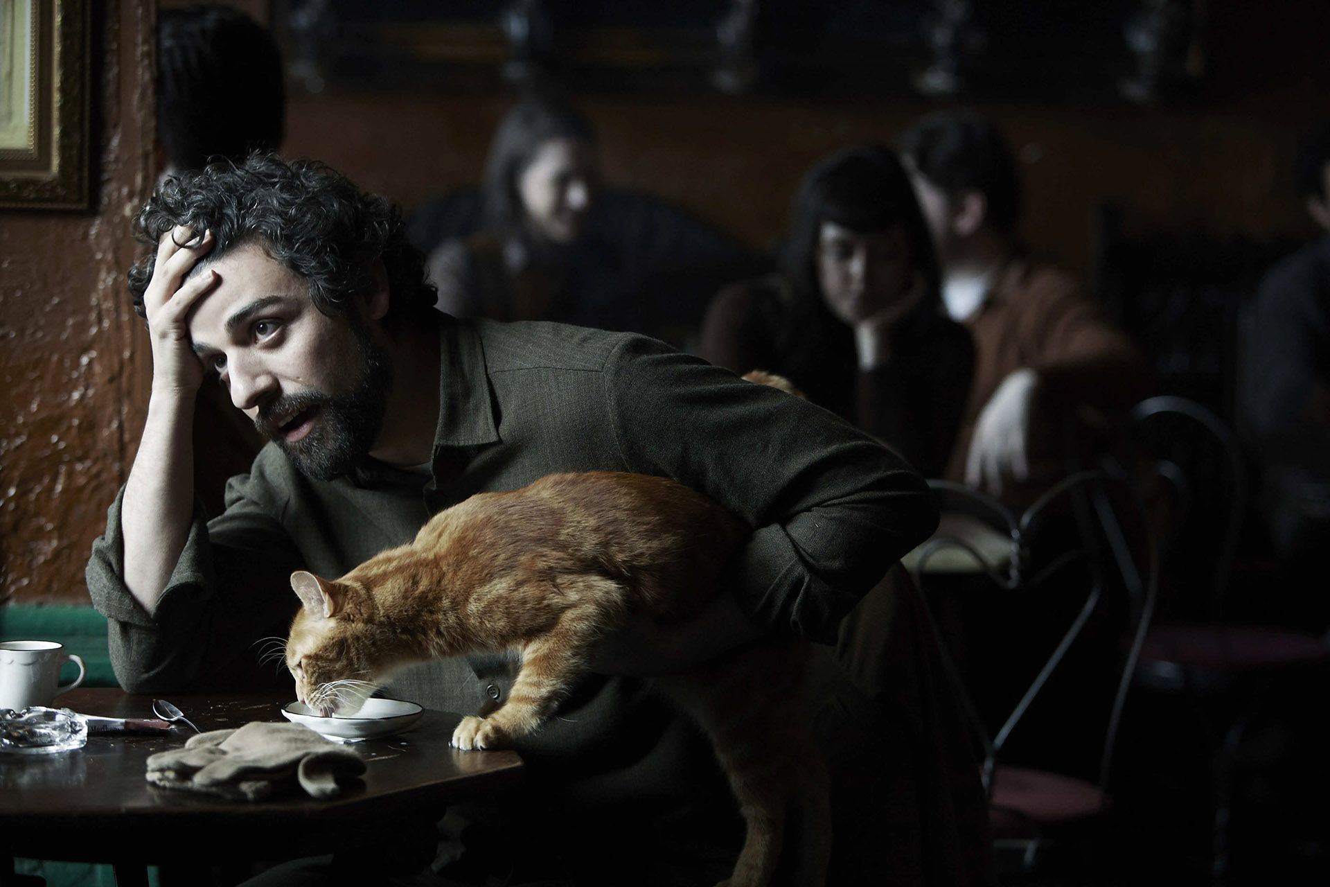 اسکار ایزاک به همراه گربه معروف فیلم Inside Llewyn Davis