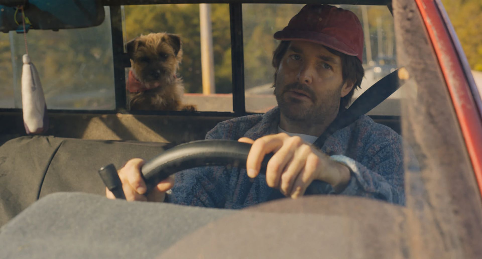 2023-9-strays-movie-2023-dog-and-reggie