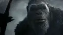  Godzilla X Kong 