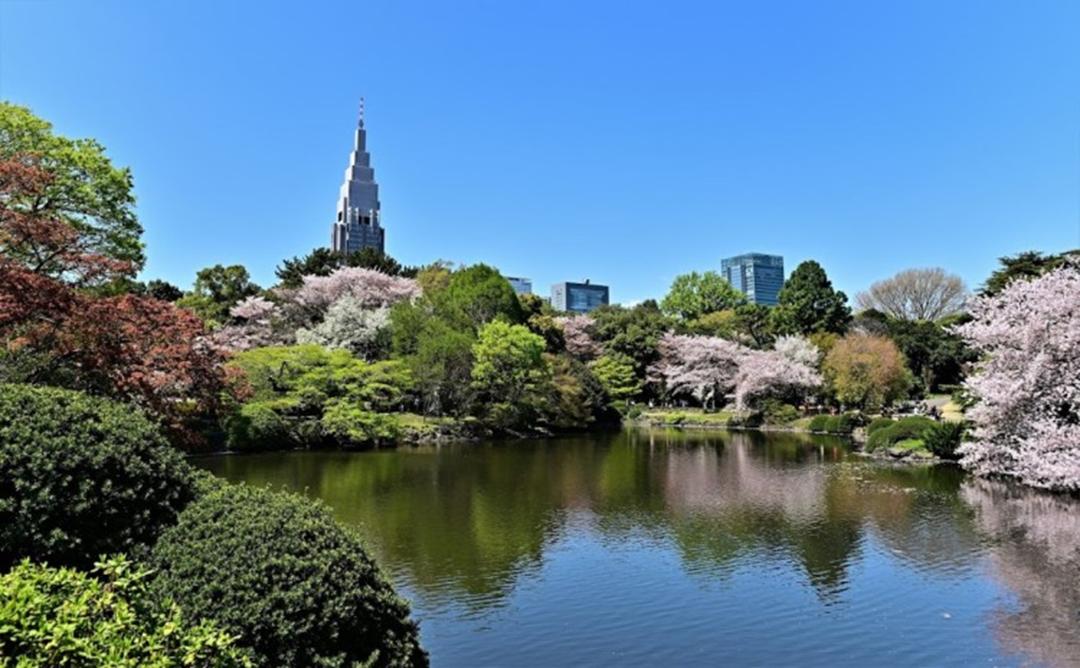 2024-1-tokyo-city-greenery-1