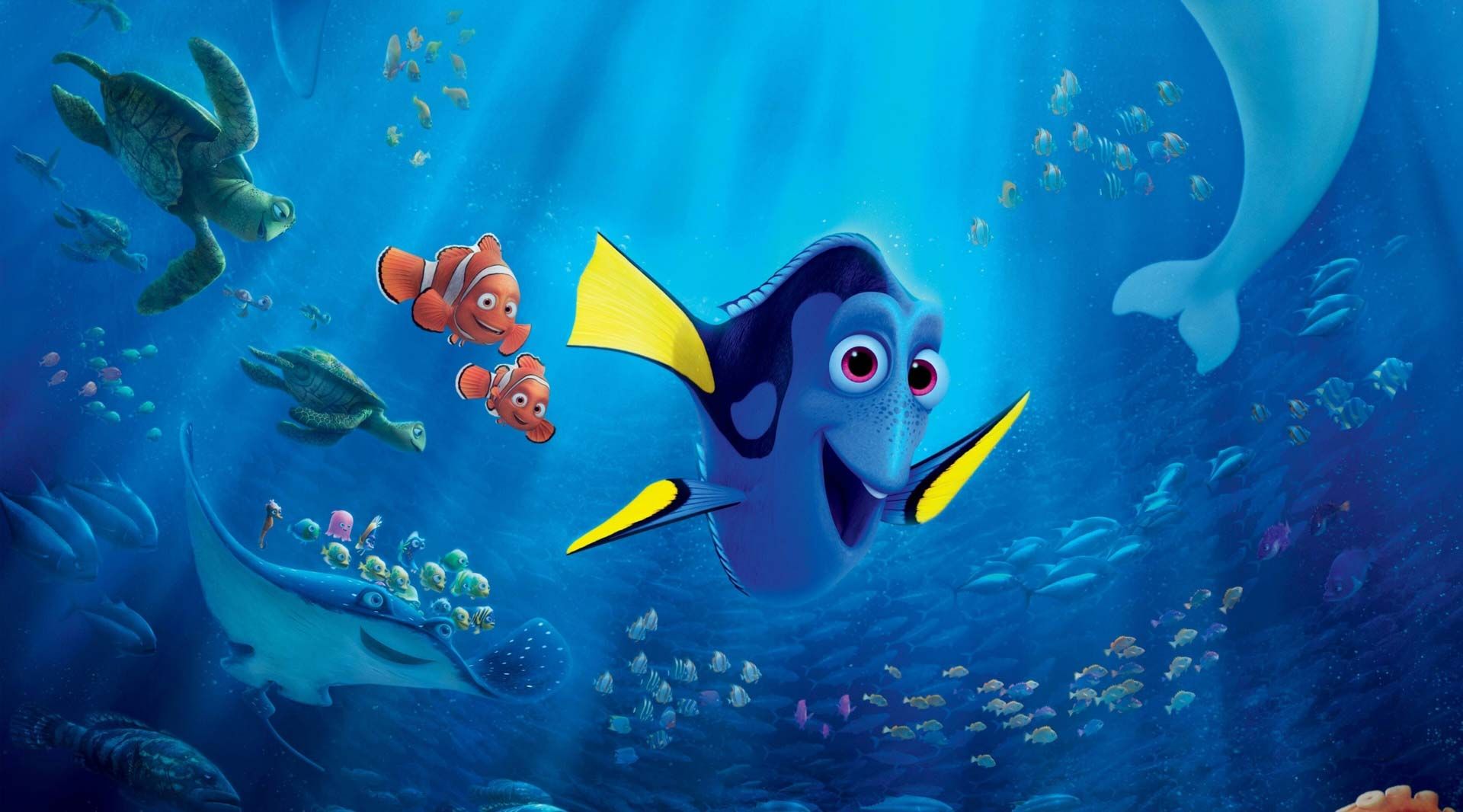 2024-2-finding-nemo-dory-clown-fish-in-sea