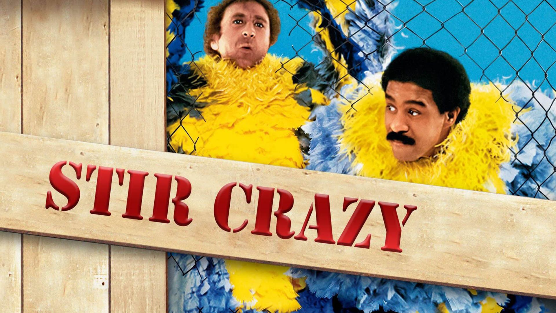 شخصیت های اصلی فیلم Stir Crazy در کاور سینمایی فیلم