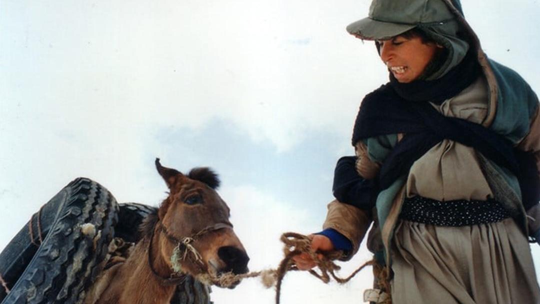 ایوب در حال کولبری در فیلم زمانی برای مستی اسب ها