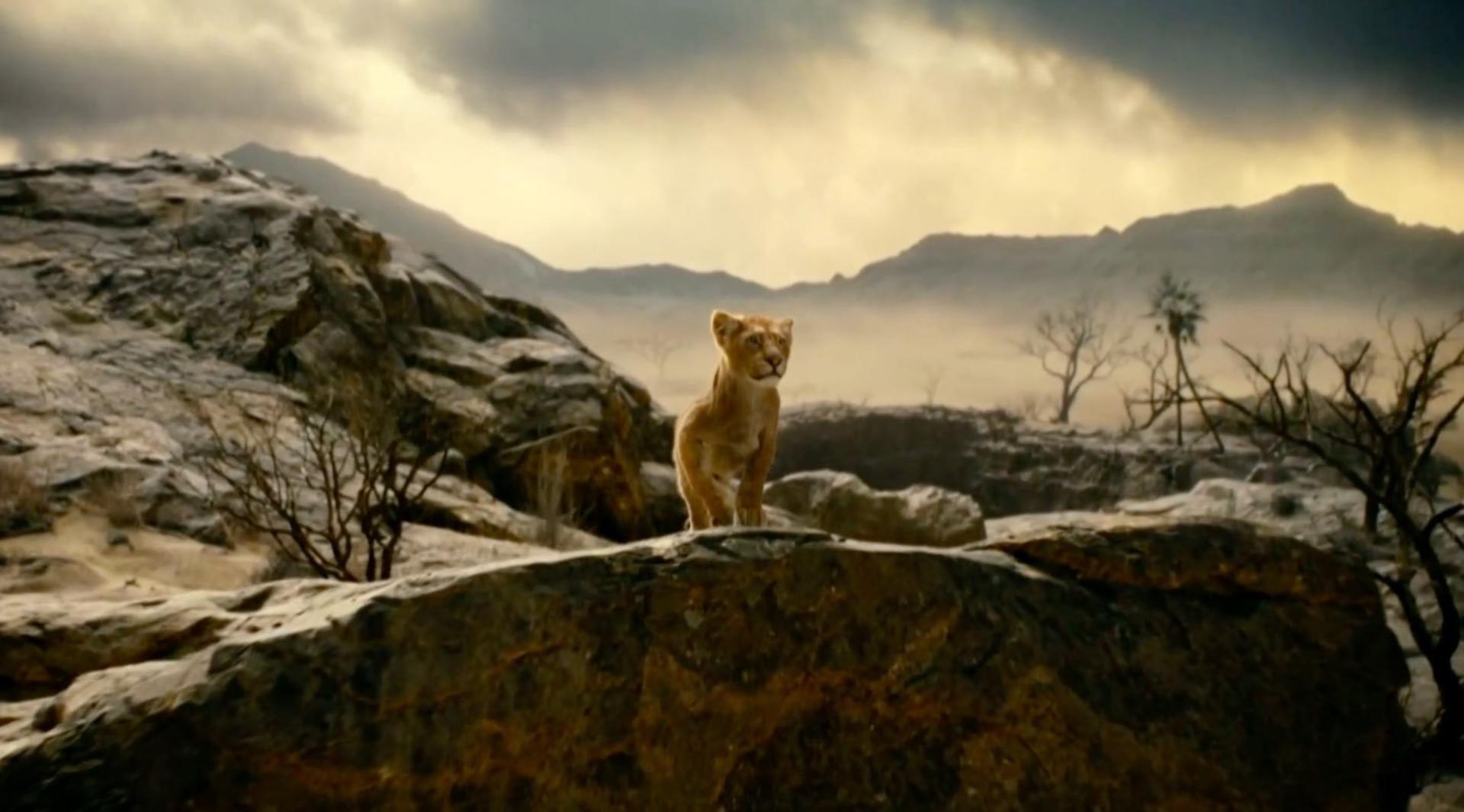 موفاسا کودک در فیلم Mufasa: The Lion King 