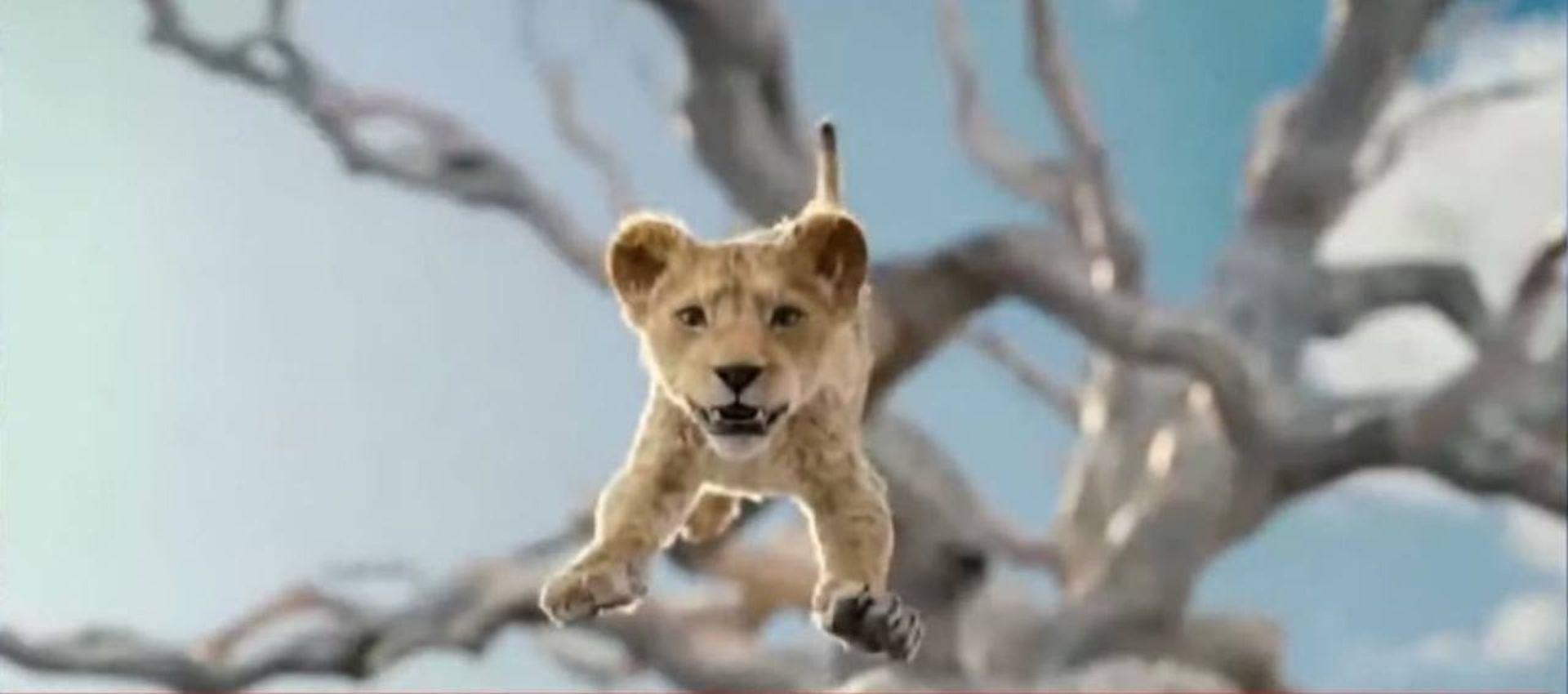 2024-4-first-look-at-mufasa-the-lion-king-02