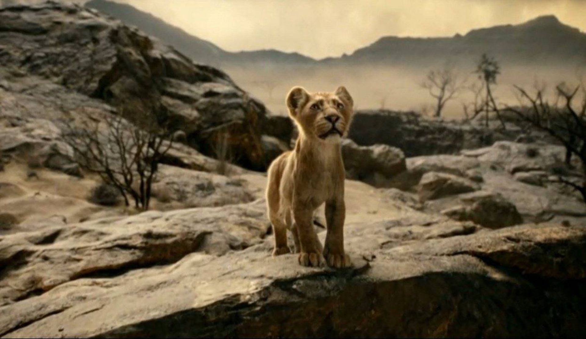 2024-4-first-look-at-mufasa-the-lion-king-03